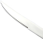 20-Piece 18/10 Stainless Steel Serrated Steak Knife Flatware Set, Service for 4