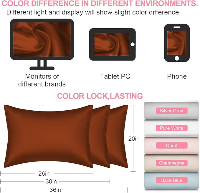 Mulberry Silk Pillow Cases 2 Pack King Size 20x36 Inches with Hidden Zipper, Ultra Smooth and Soft Breathable Cooling Silk Satin Pillowcase Set of 2, Better for Hair and Skin, Gifts for Women Men