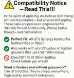 Kombucha.com Carbo-Caps: The Swingtop Slayer and Ultimate Carbonation System for Craft Beer & Kombucha Home Brewing. Viva La Revolución! (35 psi (Medium Carbonation), 2 Carbo-Caps + PRVs)