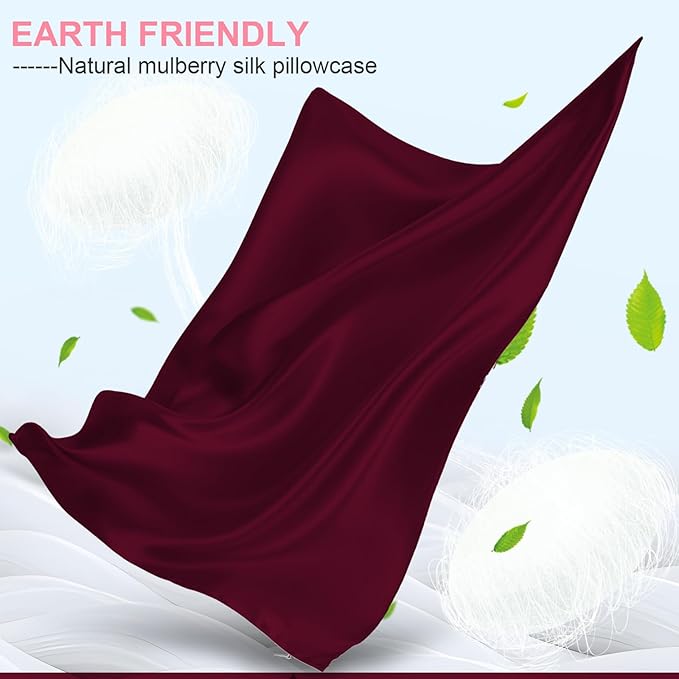 Mulberry Silk Pillow Cases 2 Pack Queen Size 20x30 Inches with Hidden Zipper, Ultra Smooth and Soft Breathable Cooling Silk Satin Pillowcase Set of 2, Better for Hair and Skin, Gifts for Women Men