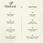 Chic Leaf Palm Leaf Compostable Plates - 6" Square, Pack of 50 - Disposable Dinnerware - Rustic Bamboo Appetizer Plates - Charcuterie Boards & Biodegradable Serviceware
