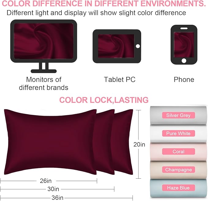 Mulberry Silk Pillow Cases 2 Pack Queen Size 20x30 Inches with Hidden Zipper, Ultra Smooth and Soft Breathable Cooling Silk Satin Pillowcase Set of 2, Better for Hair and Skin, Gifts for Women Men