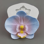 Cute Phalaenopsis Resin Mold Phalaenopsis Silicone Wave Spiral Candle Mold - Silicone Resin Casting Molds for Candle & Resin & Soap Craft Supplies