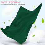 Mulberry Silk Pillow Cases 2 Pack Queen Size 20x30 Inches with Hidden Zipper, Ultra Smooth and Soft Breathable Cooling Silk Satin Pillowcase Set of 2, Better for Hair and Skin, Gifts for Women Men
