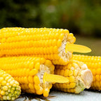 16 Pack Corn Cob Holders and 8 Pack Corn Dishes with Butter Spreader, Corn Dishes and Butter Spreader Set Kits, Corn Cob Holders Skewers BBQ Corn Holders, PEOUWNES Corn on The Cob Holders