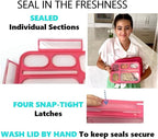Bento Lunch Boxes with Bag and Ice Packs | Bento-Box Insulated Bag Ice Cold Pack Set of Two for Kids Adults | Value Container Set for School Kid Lunches, 6 Compartments BPA Free, Blue & Pink
