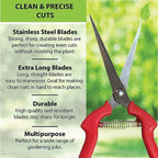 Garden Guru Extra Long Stainless Steel Pruner Pruning Shears Clippers Snips Sharp Bonsai Cutter Plant Trimming Scissors Straight Blade Garden Scissors Tool Great for Roses Flowers Herbs Fruits(2 Pack)