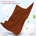 Mulberry Silk Pillow Cases 2 Pack Queen Size 20x30 Inches with Hidden Zipper, Ultra Smooth and Soft Breathable Cooling Silk Satin Pillowcase Set of 2, Better for Hair and Skin, Gifts for Women Men