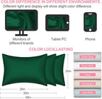 Mulberry Silk Pillow Cases 2 Pack Queen Size 20x30 Inches with Hidden Zipper, Ultra Smooth and Soft Breathable Cooling Silk Satin Pillowcase Set of 2, Better for Hair and Skin, Gifts for Women Men
