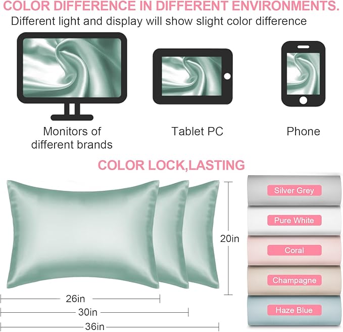 Mulberry Silk Pillow Cases 2 Pack Queen Size 20x30 Inches with Hidden Zipper, Ultra Smooth and Soft Breathable Cooling Silk Satin Pillowcase Set of 2, Better for Hair and Skin, Gifts for Women Men