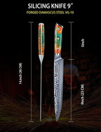 9 Inch Carving Knife, Slicing Knife - Hammered Damascus Steel & Resin Handle - Yao Series