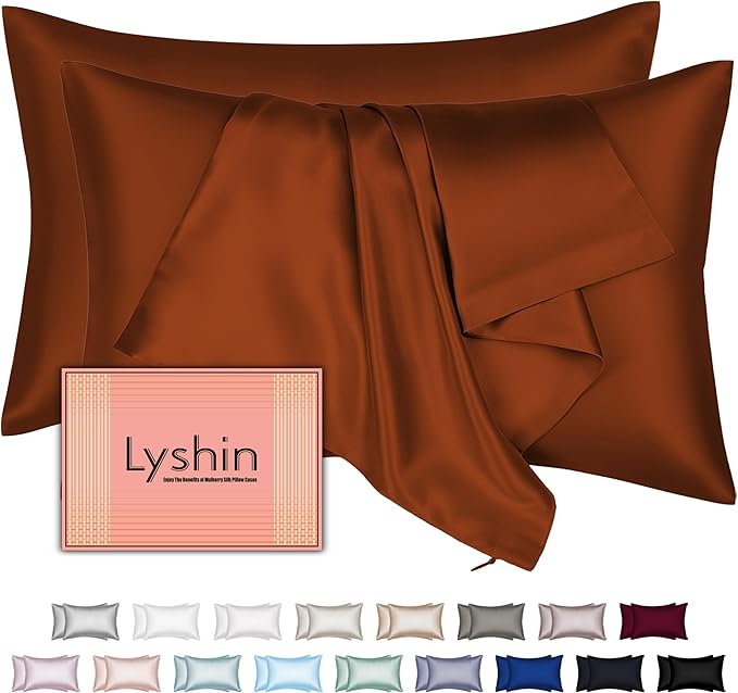 Mulberry Silk Pillow Cases 2 Pack Queen Size 20x30 Inches with Hidden Zipper, Ultra Smooth and Soft Breathable Cooling Silk Satin Pillowcase Set of 2, Better for Hair and Skin, Gifts for Women Men