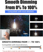 Lumiverse 120 Pack E26 led Bulb 60 watt dimmable Vintage LED Edison Bulbs 5.5W, 60W Equivalent,4000K Cool White, Antique Style ST19/ST58 LED Light Filament Bulbs, CRI 90+, E26 Base