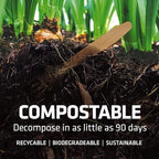 Disposable Wooden Cutlery Set - 100% Home Compostable - 100 Mix - (40 Forks, 40 Spoons and 20 Knives) 6.5", Bamboo Utensils Alternative, Eco-Friendly, Organic, Sustainable and Carbon Neutral Certified