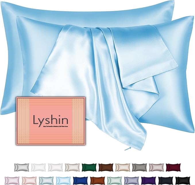Mulberry Silk Pillow Cases 2 Pack Queen Size 20x30 Inches with Hidden Zipper, Ultra Smooth and Soft Breathable Cooling Silk Satin Pillowcase Set of 2, Better for Hair and Skin, Gifts for Women Men