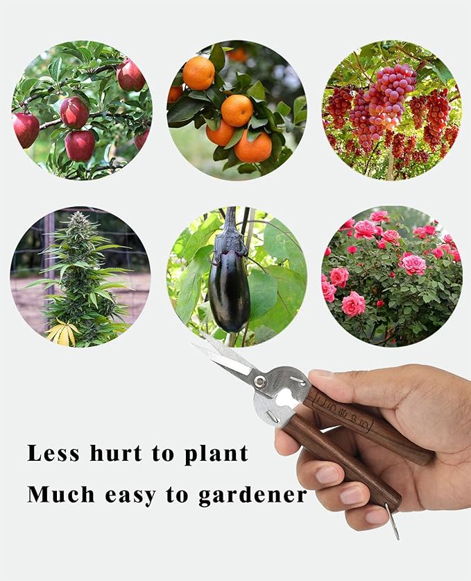 Razor Sharp Pruning Shears for Gardening, Garden Shears Carbon Steel Blade, Precision garden scissors Walnut Wood handle, 6.8” Garden Snips for Trimming Fruits, Vegetables, Flowers, Buds, Bonsai