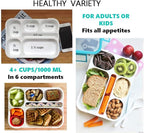 Bento Lunch Boxes with Bag and Ice Packs | Bento-Box Insulated Bag Ice Cold Pack Set of Two for Kids Adults | Value Container Set for School Kid Lunches, 6 Compartments BPA Free, Blue & Pink