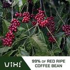 VIXI Drip Coffee Blended, 24 Bags, Ground Coffee, Medium Roast, Hanging Ear, Arabica Blend Robusta, Smooth and Balanced Flavor, Single Serving, Natural Vietnamese Coffee