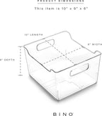 BINO | Clear Storage Organizer | THE LODGE COLLECTION | Containers for Organizing with Handles| Pantry & Kitchen Organization | Fridge Organizer | Bathroom Organizer | Storage Bins For Shelves Cabinet