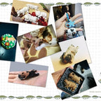 3D Fondant Chocolate Candy Cake Decoration Baking Pastry Tools Silicone Soap Mold Resin Polymer Clay Mold (Dog)