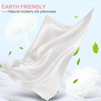Mulberry Silk Pillow Cases Queen Size with Hidden Zipper, Ultra Smooth and Soft Breathable Cooling Silk Satin Pillowcase for Hair and Skin, Gifts for Women Men (Ivory, 20x30 Inches, 1 Pack)