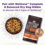 Wellness CORE Bowl Boosters Digestive Health Dog Food Topper, 4 Ounce Bag (Pack of 2)