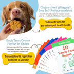 BoneItUp Dog Treat Making Kit – All-in-One DIY Cookie Set with Reusable 4 Silicone Dog Treat Molds, 3 Cutters, 10 Recipes & Gift Bags – Make Healthy Homemade Treats for Dogs