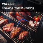 2-Pack Meat Probe for Traeger Pellet Grill, Temperature Probes Replacement Parts 3.5mm Plug Thermometer Smoker Temp Accessories
