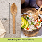 Premium Quality100% Biodegradable Spoons Made of Vegetable Fibers, 100 PCS of 6.7” Long Heavy-Duty and Splinter Free Eco-Friendly Spoons, Perfect Sustainable Cutlery for All Types of Occasions