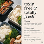 Ceramic Coated Glass Food Storage Container | No PTFE, PFOA, PFAS, and BPA | Reusable Non Toxic Meal Prep Container with Glass Lid | Easy To Store | 8 Cup Square [Smoke]