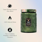 Voluspa Temple Moss, Large Candle Jar, 18oz, Coconut Wax Blend, Scented Candles for Home, 100 Hour Burn Time, Handcrafted in the USA