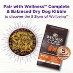 Wellness Bowl Boosters, Dog Food Topper for Small, Medium, & Large Breeds, Grain Free, Natural, Freeze Dried, Joint Health Chicken, 4 Ounce Bag (Pack of 1)