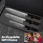 Huusk Damascus Kitchen Knife Set - 3 PCS Chef Knife Set Professional, Razor Sharp 67 Layers Damascus Japanese Knives Set for Kitchen with Wood Handle, Ideal Gift for Dad