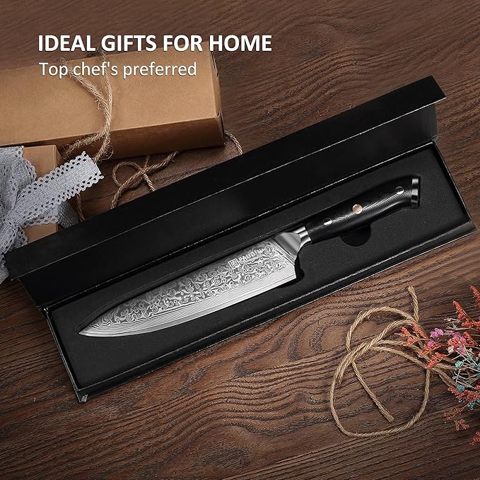 PAUDIN Damascus Chef Knife, 8 Inch Kitchen Knife, 67 Layers Damascus Steel Knife Japanese VG10 Core, Professional Chefs Knife with Ergonomic G10 Handle