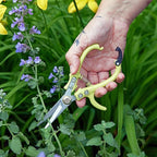 Modern Sprout Pruning Shears - Herb Snipping Scissors- Lightweight Gardening Tools W/Easy Lock - Flower Cutter Garden Shears - Carbon Steel Blade + Reusable Holster (Chartreuse, 1-Pack)