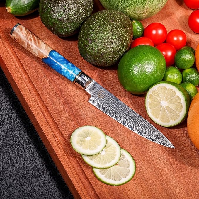 5 Inch Kitchen Utility Knife, Damascus Paring Knives,Japanese VG10 Steel Damascus Fruit Knife-Ergonomic Blue Resin Handle Ideal Birthday Gift for Men and Women