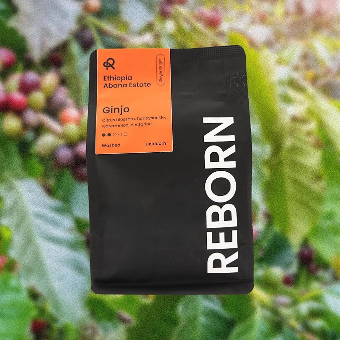 Reborn Coffee Specialty Whole Bean Coffee, Light-Medium Roast, 12 Ounce, Ethiopia Abana Estate Ginjo, Notes of Citrus Blossom, Honeysuckle, Watermelon, and Nectarine